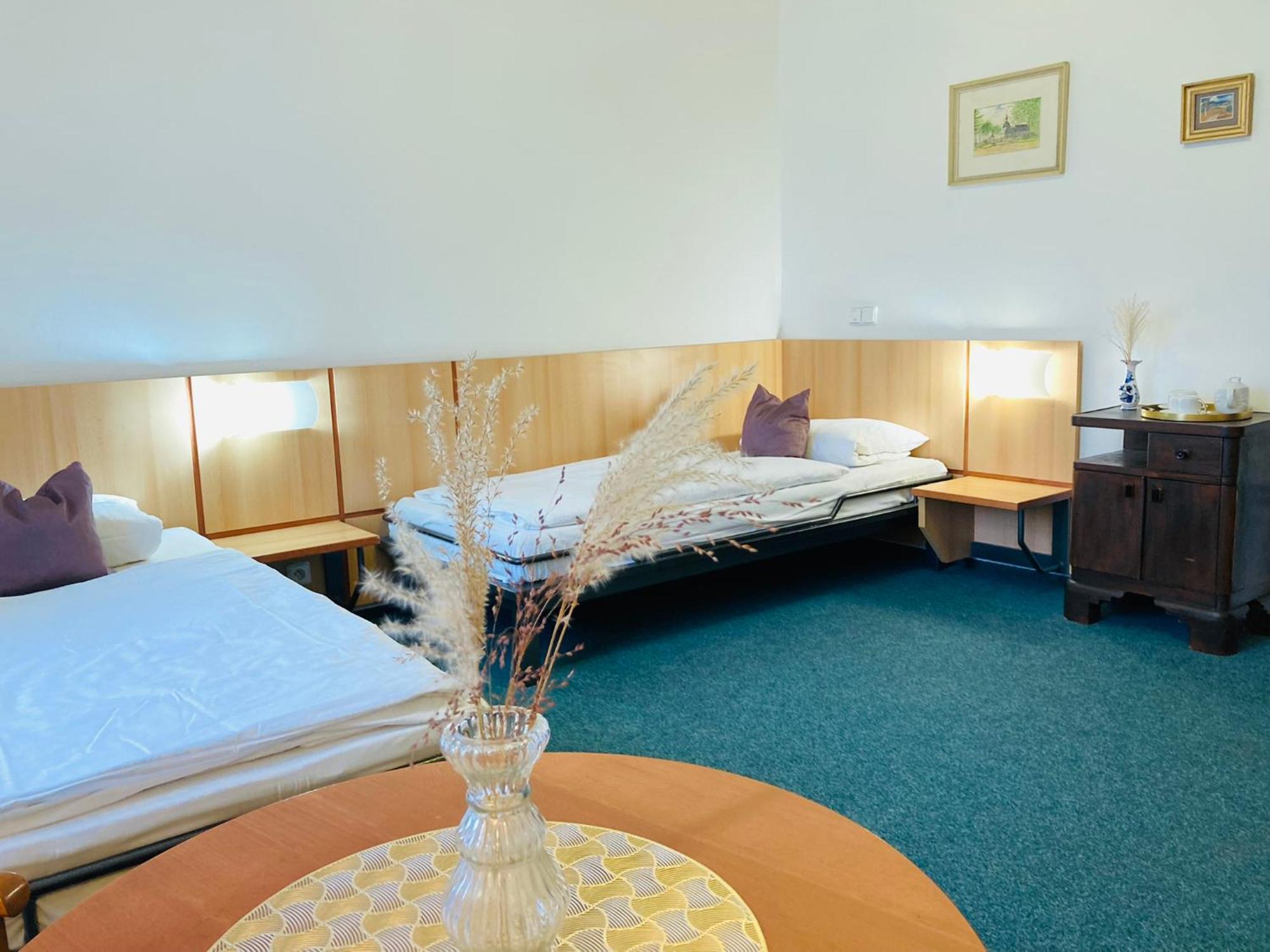 Penzion Hotelu Central ดวูร์กราโลเว นัด ลาเบม ภายนอก รูปภาพ